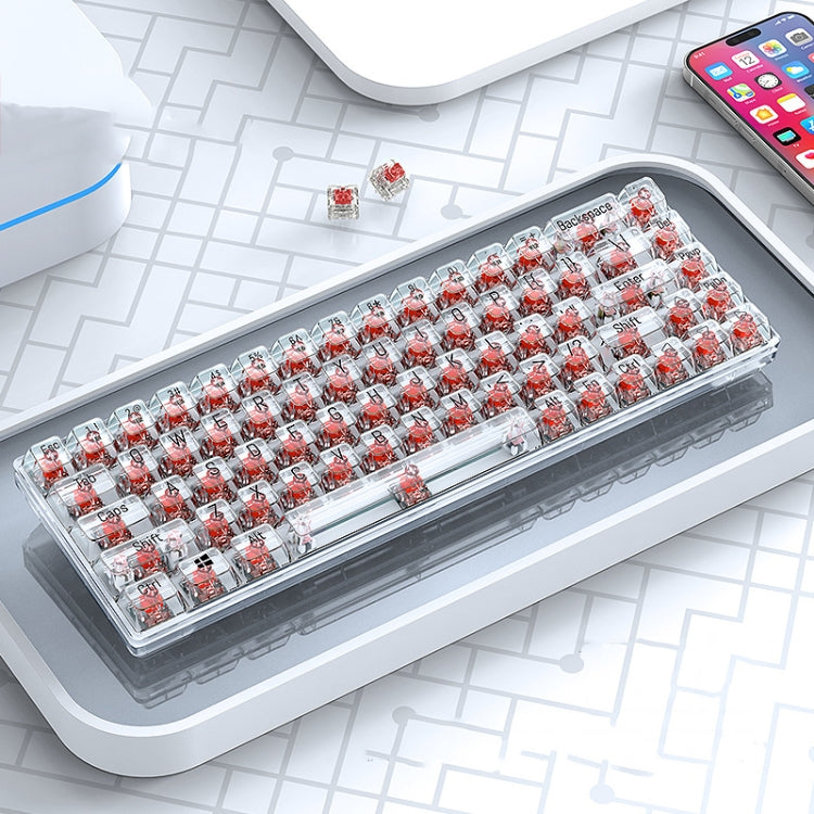 T-WOLF T40 Tastiera meccanica trasparente da gioco per ufficio a luce mista RGB a 68 tasti T-WOLF T40 Tastiera meccanica trasparente da gioco per ufficio a luce mista RGB a 68 tasti